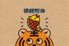 自组网课套餐202509181