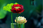 单词任务（1）